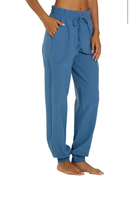 THE L.A.X. HEATHER JOGGER YEAR OF OURS AZUL